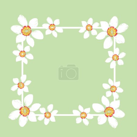 Illustration for Template frame with hand drawn white daffodils on mint background, vector illustration - Royalty Free Image