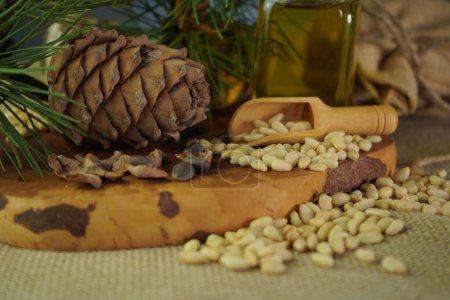 Téléchargez les photos : Composition of cosmetic and medical cedar oil in a glass jar. Nuts and cones art - en image libre de droit