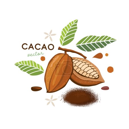 Kakao-Vektor handgezeichnete Illustration