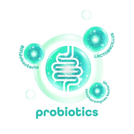 Probiotische Lebensmittel Gute Bakterien Vektor Illustration. 