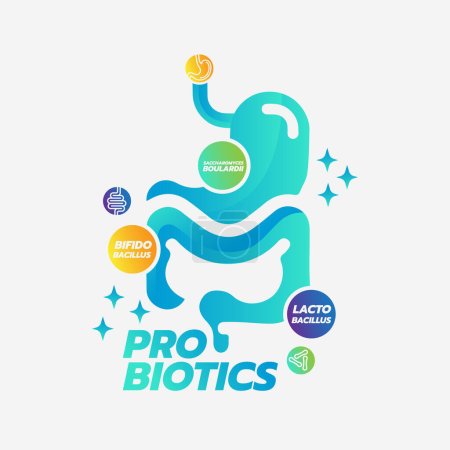 Téléchargez les illustrations : Aliments probiotiques Bonnes bactéries Illustration vectorielle. - en licence libre de droit