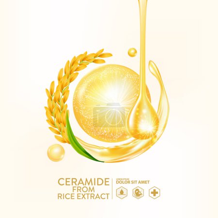 céramide extrait de riz sérum Soins de la peau Cosmétique
