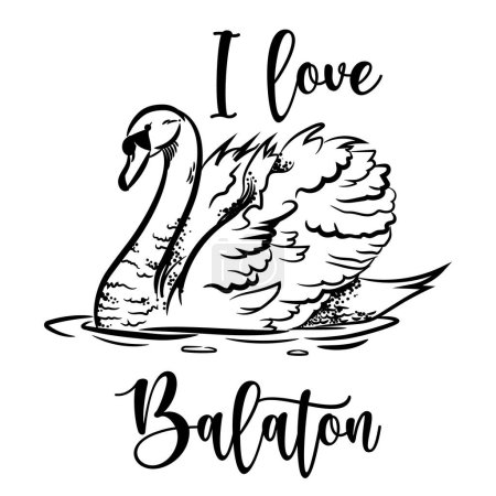 Sketch of swan. Monochrome realistic swan in black and white. I love Balaton lake