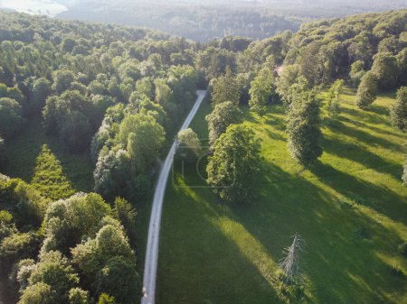 Road through the green forest, Aerial view of city through forest, top view forest, Texture of forest view from above, Ecosystem and healthy environment concept and background. High quality photo