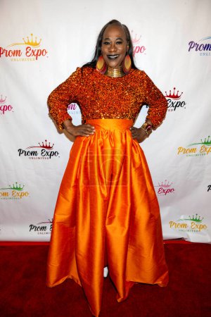 Foto de La estilista Jackie Jackson asiste a Prom Expo Unlimited Fortunate Fabrics Mixer en Private Residence, Los Ángeles, Noviembre 11, 2023 - Imagen libre de derechos