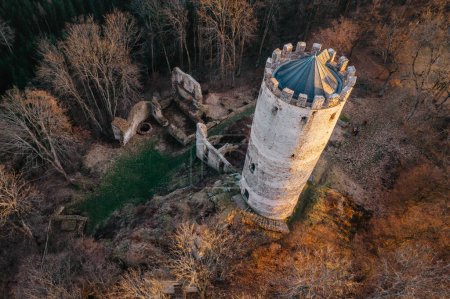 Téléchargez les photos : Aerial view of Gothic-Renaissance Selmberk castle ruin near the village of Mlada Vozice,Czech republic.It stands on rock,its tower is dominant feature of the ruins and its a lookout tower - en image libre de droit