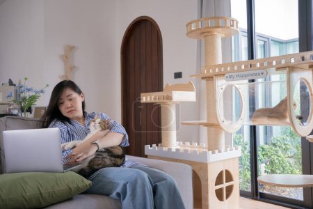 Photo for Pet lover concept by asian woman she work and play with her cat - Royalty Free Image