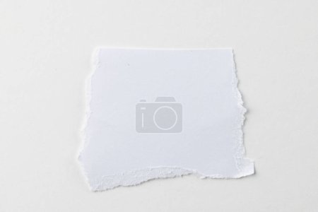 Photo for Ripped up piece of white paper with copy space on white background. Abstract paper texture background and communication concept. - Royalty Free Image