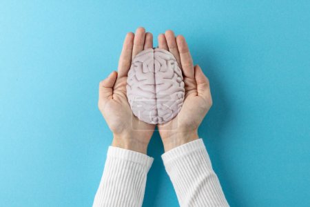 Photo for Composition of hands holding brain on blue background with copy space. Medical services, healthcare and mental health awareness concept. - Royalty Free Image