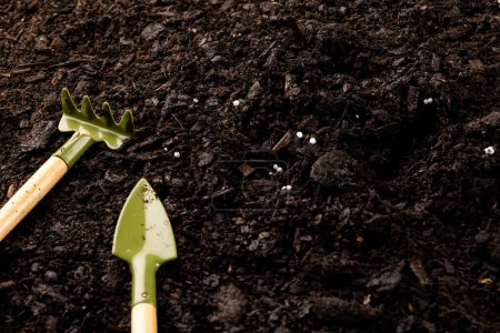 Photo for Overhead of miniature gardening trowel and rake on dark soil with fertiliser, with copy space. Ecology, growth, care and nature concept. - Royalty Free Image
