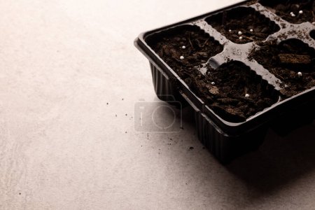 Photo for Seedling tray filled with dark soil and fertiliser, with copy space. Ecology, horticulture, growth, care and nature concept. - Royalty Free Image
