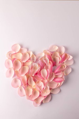 Foto de Imagen vertical de pétalos de rosa en forma de corazón sobre fondo blanco, con espacio para copiar. Día de San Valentín, romance, amor y celebración. - Imagen libre de derechos