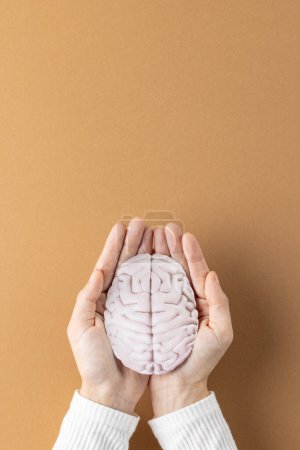 Vertical composition of hands holding brain on brown background with copy space. Medical services, healthcare and mental health awareness concept.