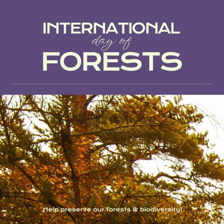 Téléchargez les photos : Composition of international day of forests text and trees. International day of forests, nature and environment concept. - en image libre de droit