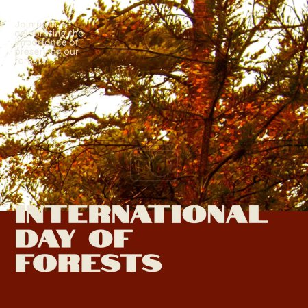 Photo for Composition of international day of forest text and tree. International day of forest, nature and environment concept. - Royalty Free Image