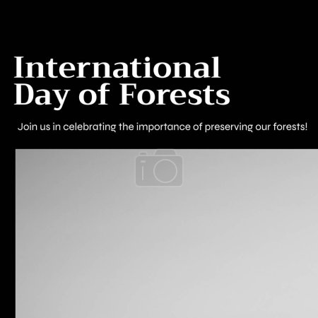 Photo for Composition of international day of forest text and grey background. International day of forest, nature and environment concept. - Royalty Free Image