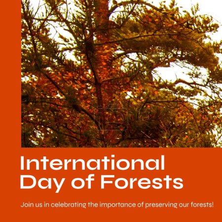 Téléchargez les photos : Composition of international day of forest text and tree. International day of forest, nature and environment concept. - en image libre de droit