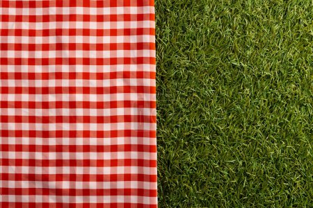 Foto de Red and white vichy fabric lying on green grass. Picnic, eating outside, fabric and materials concept. - Imagen libre de derechos