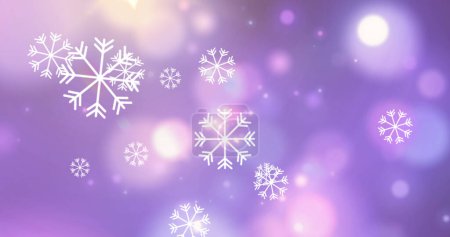 Photo for Digital image of snowflakes falling against spots of light on purple background. christmas festivity and celebration concept - Royalty Free Image