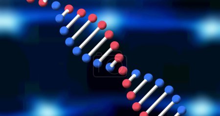 Photo for Digital image of dna structure spinning against blue spots of light on black background. medical research and science technology concept - Royalty Free Image