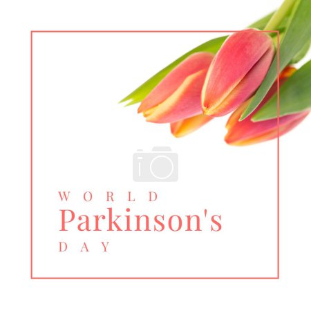 Téléchargez les photos : Composite du texte de la journée mondiale de la maladie de Parkinson avec forme rectangle et tulipes rouges sur fond blanc. Copier l'espace, sensibilisation, nature, système nerveux, campagne, soins de santé, concept de soutien et de prévention. - en image libre de droit