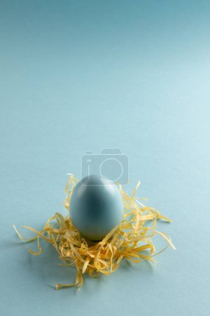 Photo for Image of blue easter egg in straw and copy space on blue background. Easter, religion, tradition and celebration concept. - Royalty Free Image