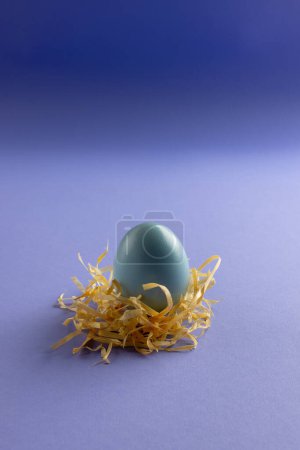 Photo for Image of blue easter egg in straw and copy space on purple background. Easter, religion, tradition and celebration concept. - Royalty Free Image