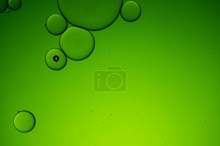 Photo for Macro close up of water bubbles with copy space on green background. Macro, colour, water, shape and pattern concept. - Royalty Free Image