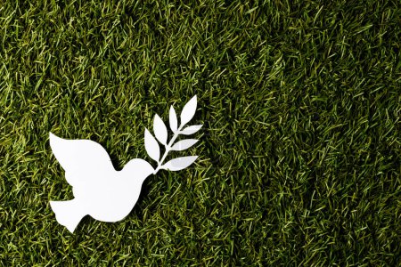 Foto de Primer plano de paloma blanca con hoja y espacio de copia en el fondo de hierba. Concepto de paz y movimiento contra la guerra. - Imagen libre de derechos