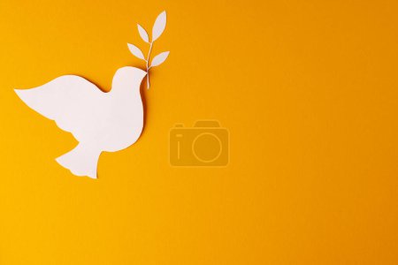 Téléchargez les photos : Gros plan de colombe blanche avec feuille et espace de copie sur fond jaune. Concept de mouvement pour la paix et contre la guerre. - en image libre de droit