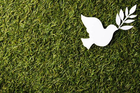 Photo for Close up of white dove with leaf and copy space on grass background. Peace and anti war movement concept. - Royalty Free Image