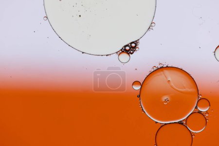 Photo for Macro close up of water bubbles with copy space over orange and white background. Macro, colour, water, shape and pattern concept. - Royalty Free Image