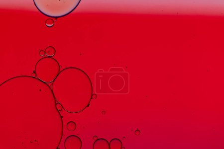 Photo for Macro close up of water bubbles with copy space over red background. Macro, colour, water, shape and pattern concept. - Royalty Free Image