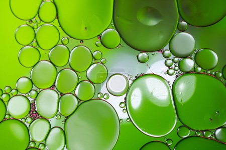 Téléchargez les photos : Macro gros plan de bulles d'eau avec espace de copie sur fond vert. Concept de macro, couleur, eau, forme et motif. - en image libre de droit
