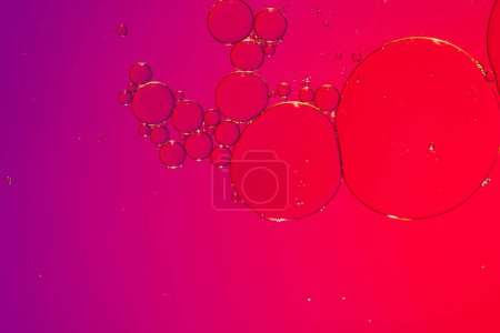 Photo for Macro close up of water bubbles with copy space over pink background. Macro, colour, water, shape and pattern concept. - Royalty Free Image