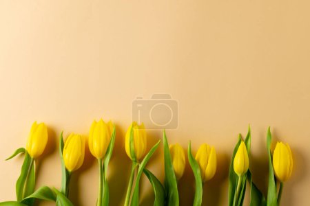 Téléchargez les photos : Image de tulipes jaunes avec espace de copie sur fond jaune. Fête des mères, concept nature et printemps. - en image libre de droit