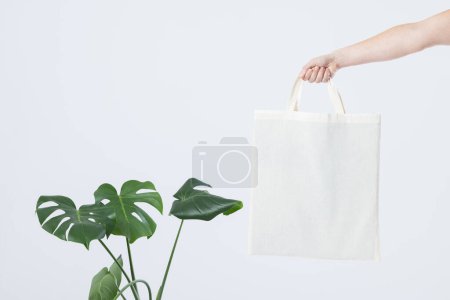 Téléchargez les photos : Main de femme caucasienne tenant sac en toile blanche avec espace de copie et plante sur fond blanc. Sacs et concept de mode. - en image libre de droit