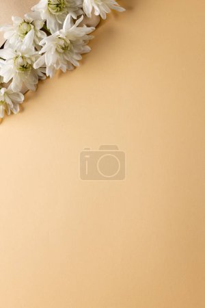 Photo for Image of white flowers in envelope with copy space on yellow background. Mothers day, nature and spring concept. - Royalty Free Image