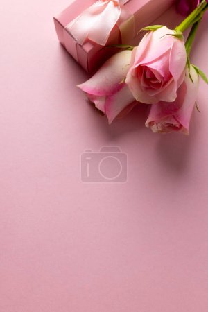 Foto de Imagen de rosas rosadas y caja rosada con espacio para copiar sobre fondo rosado. Día de la madre, naturaleza y concepto de primavera. - Imagen libre de derechos