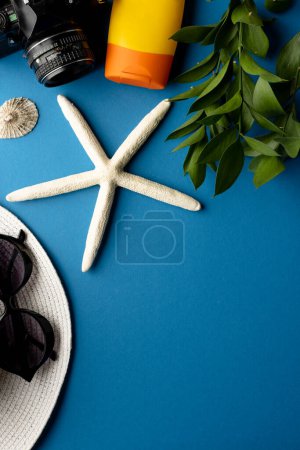 Photo for Straw hat, sunglasses, camera, sunscreen, plant and seashells on blue background with copy space. Travel and vacation. - Royalty Free Image