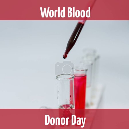 Photo for Composition of world blood donor day text over test tubes with blood. World blood donor day, helping, health, medicine and blood donating concept digitally generated image. - Royalty Free Image