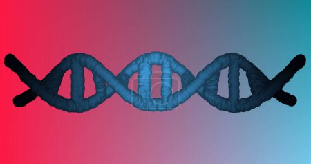 Foto de Imagen de la hebra de ADN girando sobre fondo rosa a azul. Ciencia global, investigación, computación y procesamiento de datos concepto de imagen generada digitalmente. - Imagen libre de derechos
