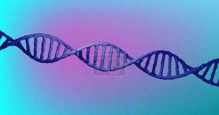 Foto de Imagen de la hebra de ADN girando sobre fondo azul a rosa. Ciencia global, investigación, computación y procesamiento de datos concepto de imagen generada digitalmente. - Imagen libre de derechos