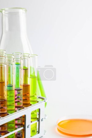 Photo for Close up of chemistry test tubes and dishes with liquid and copy space on white background. Science, chemistry, learning, school and education concept. - Royalty Free Image