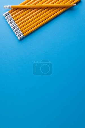Photo for Close up of yellow pencils with erasers and copy space on blue background. Writing, drawing, learning, school and education concept. - Royalty Free Image