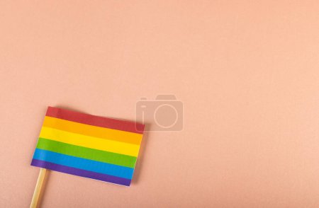 Foto de Vista de ángulo alto de la bandera del arco iris con palo aislado sobre fondo rosa, espacio de copia. Lgbtqia derechos, libertad, igualdad, concepto de orgullo. - Imagen libre de derechos