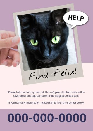 Photo for Composite of missing poster of black kitten, find felix, help text with information and number. Copy space, information, pets, animal, template, art, design, kidnapping and lost concept. - Royalty Free Image