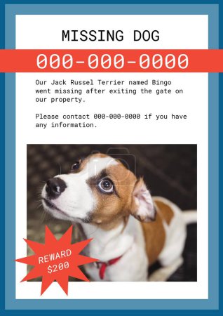 Photo for Composite of missing poster of jack russel terrier dog with information, numbers, reward 200 dollar. Text, copy space, information, pets, animal, template, art, design, kidnapping and lost concept. - Royalty Free Image