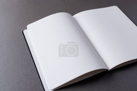 Téléchargez les photos : Gros plan du livre ouvert avec espace de copie sur fond gris. Littérature, lecture, écriture, loisirs et livres. - en image libre de droit