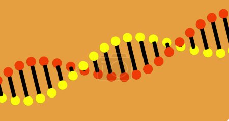 Foto de Compuesto de hebra de ADN sobre fondo naranja. Concepto de investigación, ciencia, procesamiento de datos y conectividad imagen generada digitalmente. - Imagen libre de derechos